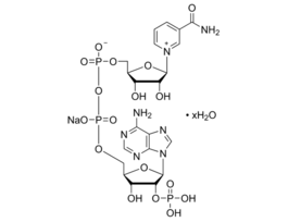 beta-Nicotinamide adenine dinucleotide phosphate sodium salt hydratepowder 1G