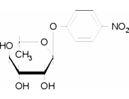 4-Nitrophenyl alpha-L-rhamnopyranosidepowder 500MG