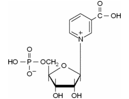 Nicotinic acid mononucleotide 25MG