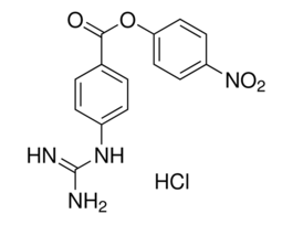 4-Nitrophenyl 4-guanidinobenzoate hydrochlorideprotease inhibitor and substrate 1G