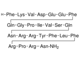 Neuromedin U-25 porcine>=97% (HPLC), solid