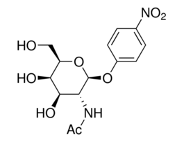 4-Nitrophenyl N-acetyl-beta-D-galactosaminide>=98% 1G