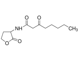 N-(3-Oxooctanoyl)-DL-homoserine lactone>=97% (HPLC), white powder