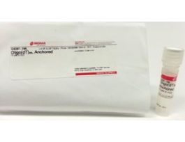 Oligo(dT)23, Anchored70 muM in H2O