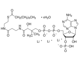 Octanoyl coenzyme A lithium salt hydrate>=95 (HPLC) 10MG