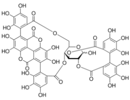 Punicalagin>=98% (HPLC), from pomegranate 1MG