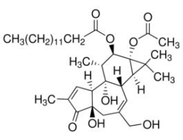 PMAfor use in molecular biology applications, >=99% (TLC) 1MG
