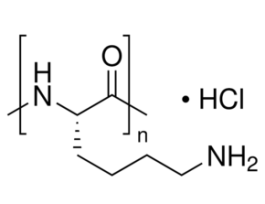Poly-L-lysine hydrochloridemol wt 15,000-30,000 25MG