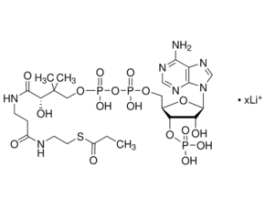 n-Propionyl coenzyme A lithium salt>=85% 25MG