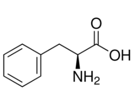 L-Phenylalaninefrom non-animal source, meets EP, JP, USP testing specifications, suitable for cell culture, 98.5-101.0% 100G