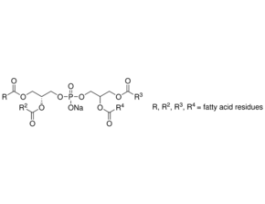 L-alpha-Phosphatidyl-DL-glycerol sodium salt from egg yolk lecithin>=99% (TLC), lyophilized powder 25MG