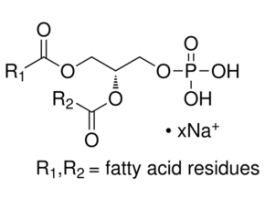 3-sn-Phosphatidic acid sodium salt from egg yolk lecithin>=98% 100MG