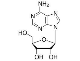 Adenosinepharmaceutical secondary standard; traceable to USP and PhEur