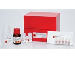 Trypsin Profile IGD Kit