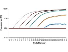 SYBR(R) Green Quantitative RT-qPCR KitOne step SYBR(R) Green RT-qPCR with MMLV & hot-start Taq DNA Polymerase