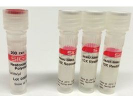 Restorase(R) DNA Polymerase with 10x Reaction BufferEnzyme blend for PCR amplification of damaged DNA