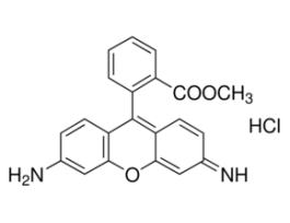 Rhodamine 123mitochondrial specific fluorescent dye 25MG