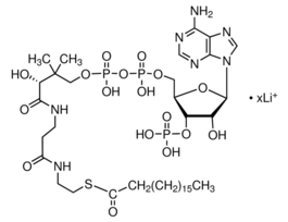 Stearoyl coenzyme A lithium salt>=90% 5MG