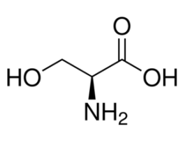 L-SerineReagentPlus(R), >=99% (HPLC) 1G