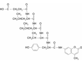 N-Succinyl-Leu-Leu-Val-Tyr-7-Amido-4-Methylcoumarin>=90% (HPLC) 10MG