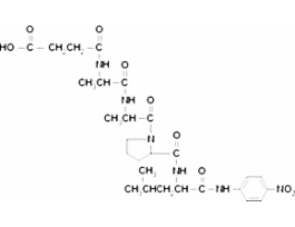 N-Succinyl-Ala-Ala-Pro-Leu p-nitroanilideprotease substrate 10MG