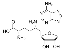 Sinefungin95% (HPLC), powder