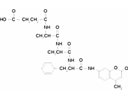 N-Succinyl-Ala-Ala-Phe-7-amido-4-methylcoumarinprotease substrate 5MG