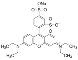 Sulforhodamine B sodium saltTechnical grade 25G