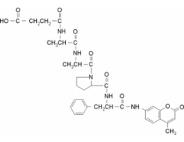 N-Succinyl-Ala-Ala-Pro-Phe-7-amido-4-methylcoumarinLeucine aminopeptidase substrate 5MG