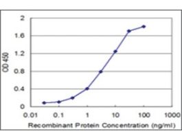 ANTI-RCV1 antibody produced in mouseclone 5A6, purified immunoglobulin, buffered aqueous solution