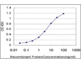 ANTI-RCV1 antibody produced in mouseclone 2H4, purified immunoglobulin, buffered aqueous solution