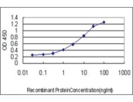 ANTI-FOXO1A antibody produced in mouseclone 4B4, purified immunoglobulin, buffered aqueous solution