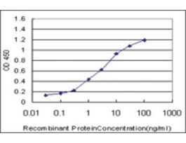 ANTI-PPARBP antibody produced in mouseclone 2G1, purified immunoglobulin, buffered aqueous solution