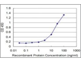 ANTI-FOXO1A antibody produced in mouseclone 4A2, purified immunoglobulin, buffered aqueous solution