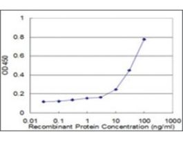 ANTI-FOXO1A antibody produced in mouseclone 4D9, purified immunoglobulin, buffered aqueous solution
