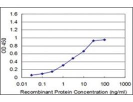 ANTI-RCV1 antibody produced in mouseclone 1D3, purified immunoglobulin, buffered aqueous solution
