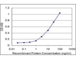 ANTI-PTCH antibody produced in mouseclone 3C2, purified immunoglobulin, buffered aqueous solution