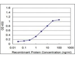ANTI-RCV1 antibody produced in mouseclone 1B7, purified immunoglobulin, buffered aqueous solution