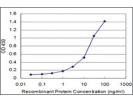 ANTI-AKT2 antibody produced in mouseclone 1D9, purified immunoglobulin, buffered aqueous solution
