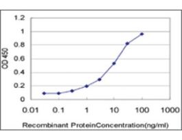 ANTI-HOXA5 antibody produced in mouseclone 1C9, purified immunoglobulin, buffered aqueous solution