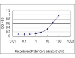 ANTI-RBP4 antibody produced in mouseclone 3D12, purified immunoglobulin, buffered aqueous solution
