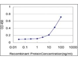 ANTI-CXCL12 antibody produced in mouseclone 2B1, purified immunoglobulin, buffered aqueous solution