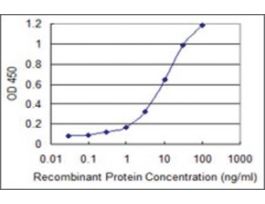 ANTI-PBK antibody produced in mouseclone 2D2, purified immunoglobulin, buffered aqueous solution