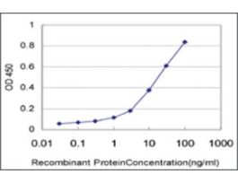 ANTI-ERN1 antibody produced in mouseclone 4E1, purified immunoglobulin, buffered aqueous solution