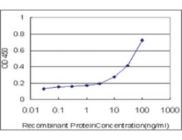 ANTI-ARHGEF1 antibody produced in mouseclone 2D2, purified immunoglobulin, buffered aqueous solution