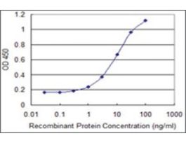 ANTI-BMP5 antibody produced in mouseclone 3G11, purified immunoglobulin, buffered aqueous solution