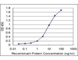 ANTI-ABL2 antibody produced in mouseclone 2H8, purified immunoglobulin, buffered aqueous solution