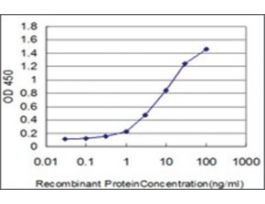 ANTI-FOXQ1 antibody produced in mouseclone 3B9, purified immunoglobulin, buffered aqueous solution