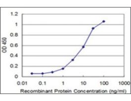 ANTI-PHF1 antibody produced in mouseclone 2A12, purified immunoglobulin, buffered aqueous solution