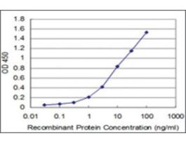 ANTI-EGR1 antibody produced in mouseclone 4G7, purified immunoglobulin, buffered aqueous solution